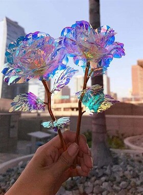 Led Valentines Day Mothers Day Gift  Foil Plated Roses Art