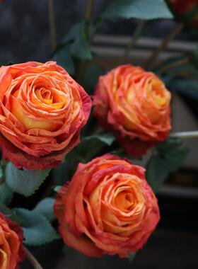 2023 new 1 bunch 2 artificial European peony tea rose camell