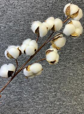Artificial Dried Cotton Flowers White Flower Branch For Wedd