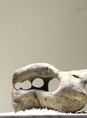 太湖石天然原石奇石鱼缸摆件假山石头景观石盆景附石观赏石灵璧石