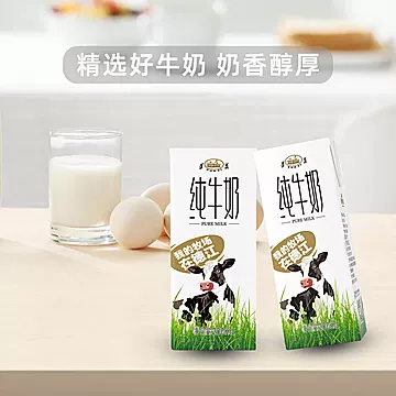 奶香醇厚一口就爱上！遵义纯牛奶200ml*10盒[6元优惠券]-寻折猪