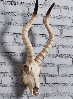 件始羊头骨壁挂挂饰墙饰挂饰门口挂品AMT真仿动物羊原头创意家居