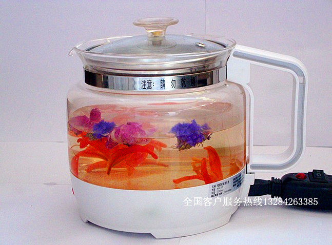 【底也是玻璃】加厚全玻璃养生壶桦树茸电烧水全自动煎药保温煮茶,淘宝优惠券,粉丝福利购,淘宝优惠卷