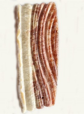 奇石天然广西肉石猪肉石东坡肉红烧肉纹理石猪蹄脚富贵肉装饰摆件