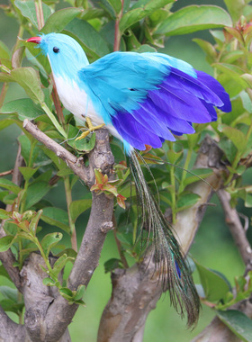 濮艺仿真小鸟展翅蜂鸟假鸟真羽毛黄鹂工艺品道具喜鹊装饰摆件