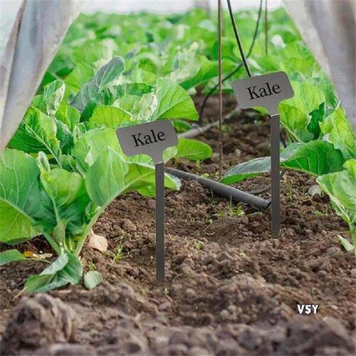 10Pcs Stainless Steel T-Type Plantshrub Nursery Garden - 图2