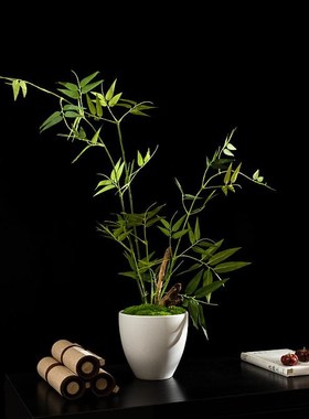 创意中式仿真绿植摆件白色陶瓷花器竹子插花展厅家具角几边几摆花