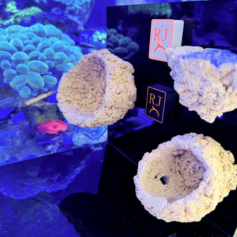 超强磁吸海葵窝海缸强磁铁玻璃壁挂奶嘴窝支架悬浮空地毯鱼缸锐焦,淘宝优惠券,粉丝福利购,淘宝优惠卷