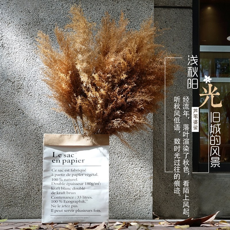 服装店芦苇干花花瓶橱窗干花装饰摆件北欧束桌面家具摆设落地创意,淘宝优惠券,粉丝福利购,淘宝优惠卷