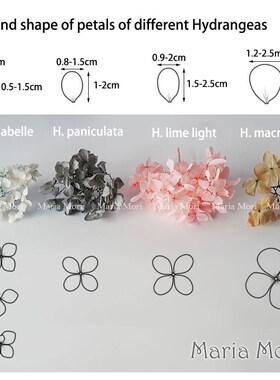 Colorful Preserved Hydrangea Home Decoration Wedding Decorat