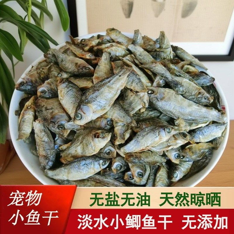 宠物零食小鱼干淡水农家新鲜小鲫鱼干猫咪零食猫吃鱼干小乌龟粮食,淘宝优惠券,粉丝福利购,淘宝优惠卷