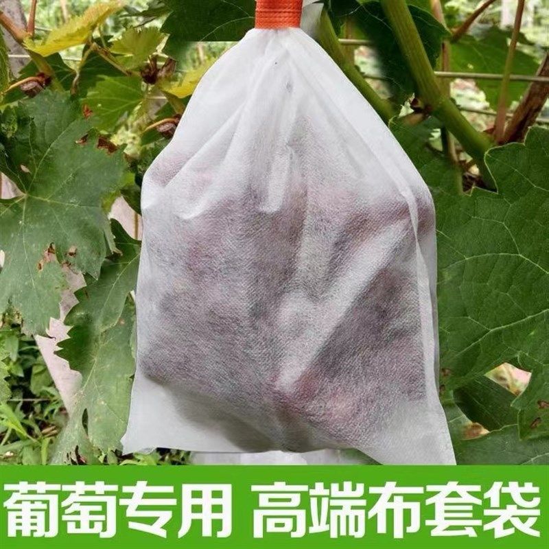 无纺布葡萄袋套袋专用纸袋水果袋防水防雨防虫莲雾保护透气半透明,淘宝优惠券,粉丝福利购,淘宝优惠卷