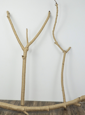 家居装饰干树枝艺术枯枝枯木树干自然干本色树枝壁挂衣架客厅门店