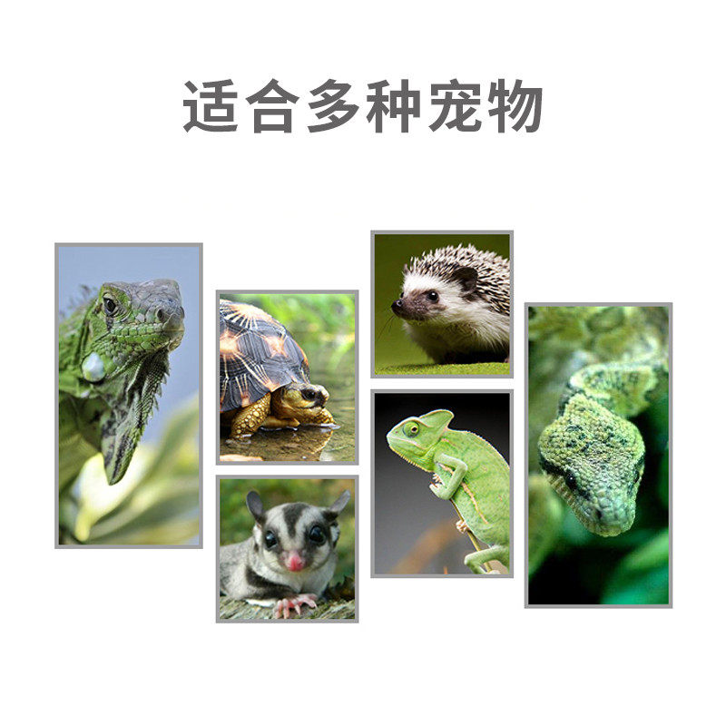 爬虫宠物加热灯龟箱加温灯泡 蜥蜴保温灯UVA日灯月光夜灯,淘宝优惠券,粉丝福利购,淘宝优惠卷