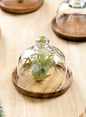 迷你甜品碟甜点盅慕斯托盘蛋糕盘拼接木质带盖玻璃罩点心摆盘摆件