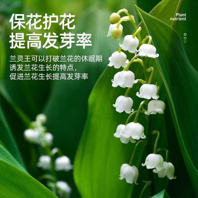兰灵王兰花专用肥料EM菌微生物杀菌多箭素君子兰蝴蝶兰墨兰营养液,淘宝优惠券,粉丝福利购,淘宝优惠卷