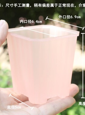 园艺绿植 多肉盆简约阳台窗台玉露景天生石花十二卷托盘 塑料花盆