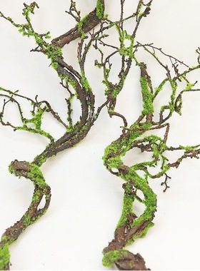 仿真青苔树藤枯藤装饰摆饰乾燥树枝藤蔓造景假藤条森系庭院绿植苔