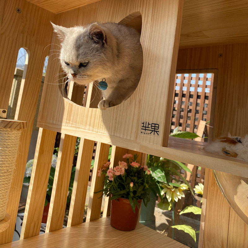 家用不占地小户型猫窝猫别墅带厕所猫柜室内一体式猫笼实木猫屋,淘宝优惠券,粉丝福利购,淘宝优惠卷