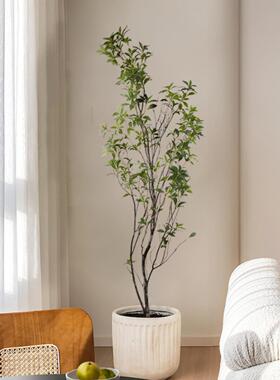 采购产品模拟绿色植物，马醉木挂钟，室内大型假树，落地式假植物