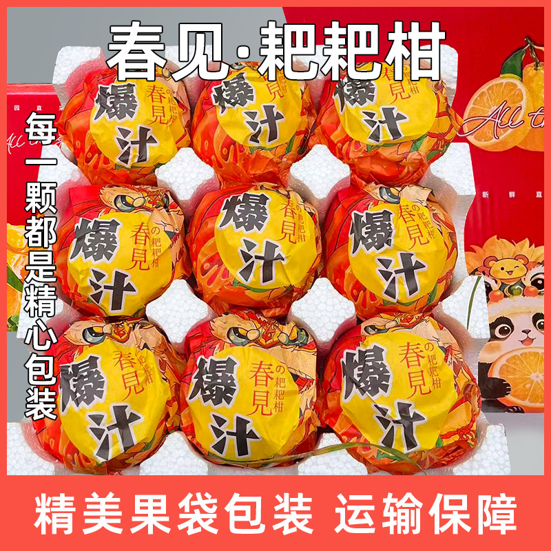 四川正宗耙耙柑彩袋包装净重4.5斤