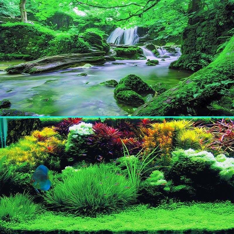 定制鱼缸背景贴纸高清鱼缸壁纸亮丽珊瑚群图案3d立体水族箱背景壁,淘宝优惠券,粉丝福利购,淘宝优惠卷