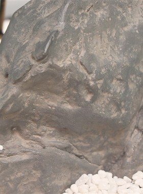 新中式创意亚克力罩竹子摆件售楼处迎宾接待大厅客厅玄关软装饰品