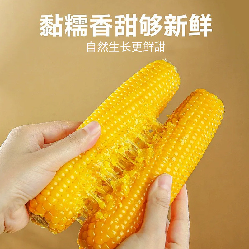 东北甜玉米黄糯玉米新鲜粘玉米真空装