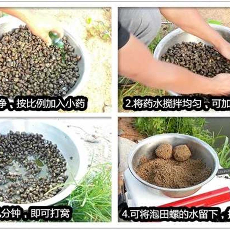 青鱼杀手霸王青鱼鱼饵添加剂诱大青鱼饵料添加剂泡螺香精黑坑水库,淘宝优惠券,粉丝福利购,淘宝优惠卷