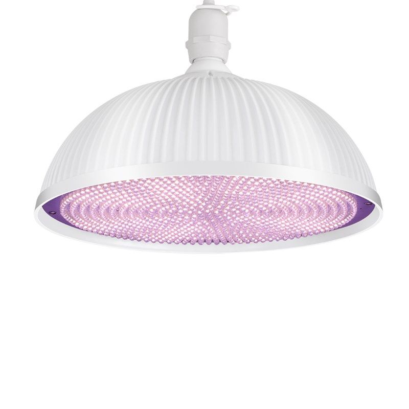 新款圆壳led生鲜灯猪肉灯卤菜灯熟食灯超市鲜肉海鲜蔬菜灯专用灯,淘宝优惠券,粉丝福利购,淘宝优惠卷