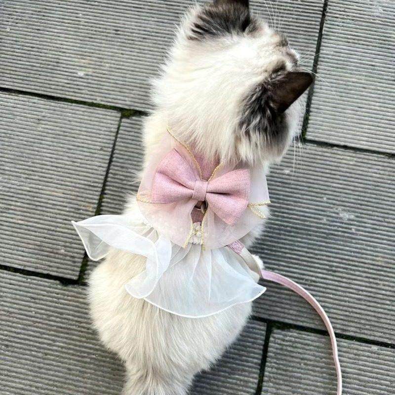 猫猫遛猫绳猫咪胸背带牵引绳防挣脱外出专用宠物衣服溜猫绳狗绳子,淘宝优惠券,粉丝福利购,淘宝优惠卷