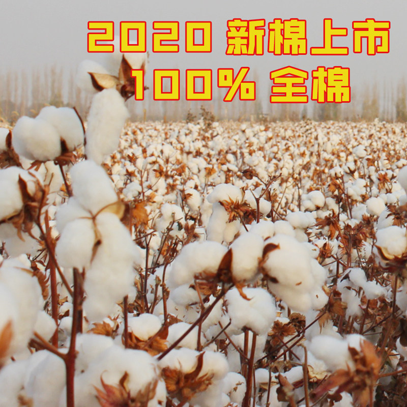 新疆长绒棉被冬被加厚保暖全棉单人宿舍学生被芯冬季棉絮棉胎被子,淘宝优惠券,粉丝福利购,淘宝优惠卷