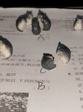 小鼠吸引同学小玩意上课