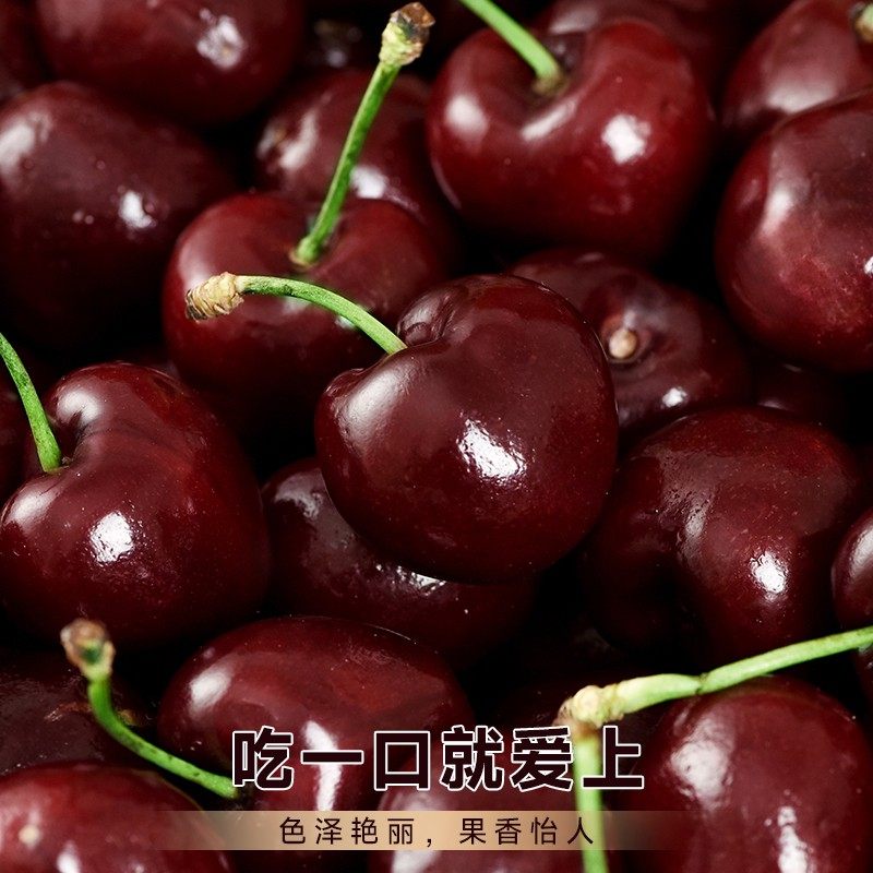 智利车厘子新鲜水果包邮当季进口整箱礼盒5斤孕妇5j樱桃原箱4j3j,淘宝优惠券,粉丝福利购,淘宝优惠卷