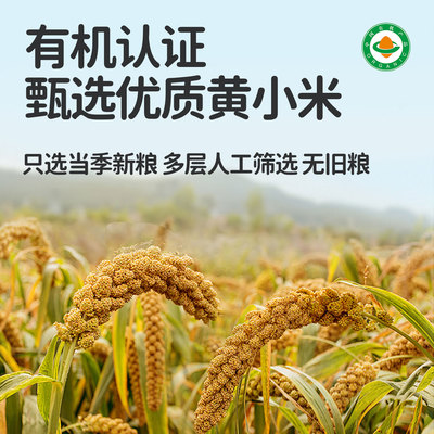金苗K1有机黄小米新米宝宝辅食
