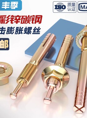 国标高强度膨胀螺栓击芯膨胀螺丝锤钉壁虎一钉得M6M8M10M12M16M20