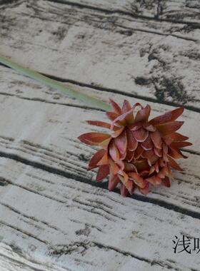 仿真花凤毛厅蓟居客桌子塑料假花摄影道插花DZ-022花艺装饰家具摆