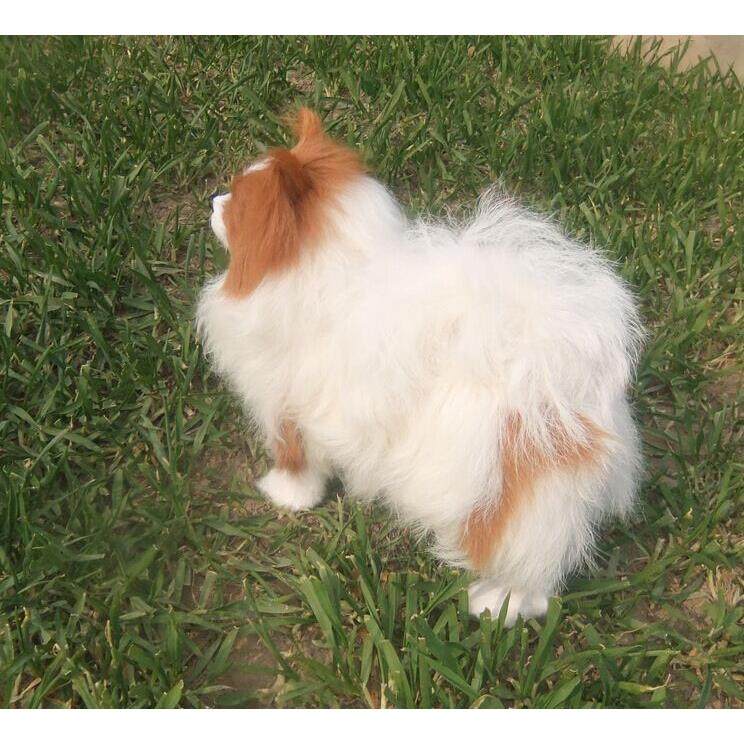 厂家现货仿真狗家居摆件创意桌面装饰品 蝴蝶犬模型 博美犬,淘宝优惠券,粉丝福利购,淘宝优惠卷