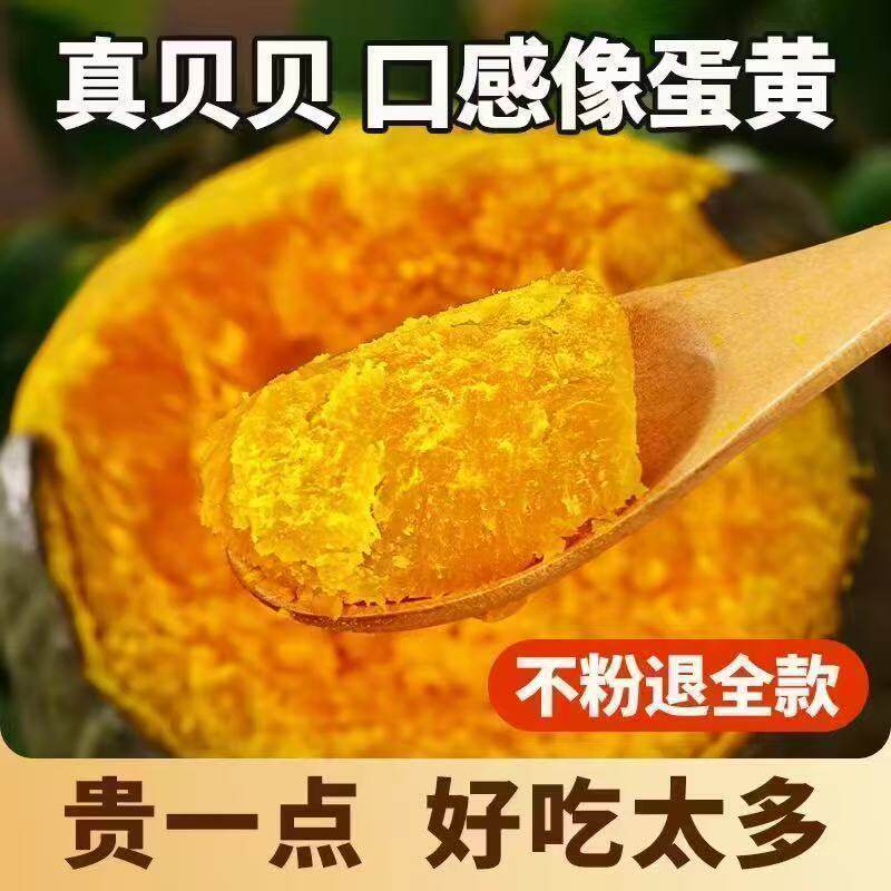 【精选】正宗贝贝南瓜板栗南瓜应季新鲜蔬菜婴儿辅食甜糯南瓜批发 【精选】正宗贝贝南瓜板栗南瓜应季新鲜蔬菜婴儿辅食甜糯南瓜批发