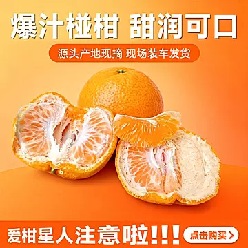 【彩箱】四川丑橘5斤果径80cm+[10元优惠券]-寻折猪