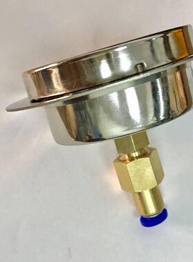 轴向带边耐震压力表 带6mm气管接头 压力1mpa 直径61mm-69mm ny63