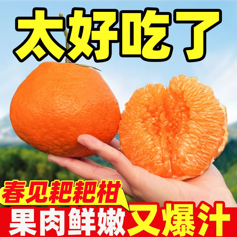 【彩箱发货】正宗四川眉山耙耙柑当季新鲜水果孕妇批发丑甜橘子,淘宝优惠券,粉丝福利购,淘宝优惠卷