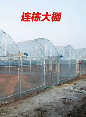养殖大棚全套养鸡棚鹅猪牛棚连体棚家用种植棚玻璃温室大棚骨架