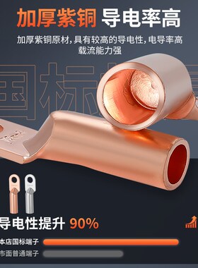 国标DT铜鼻子接线端子16/35/50/70/95/120/150/185/240/300平方