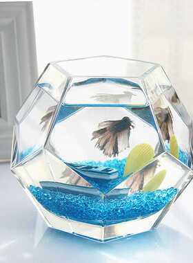 美人鱼多面体个性斗鱼缸创意桌面玻璃鱼缸热带鱼缸加厚超白鱼缸