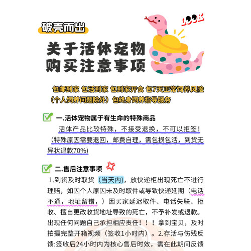 活体宠物蛇猪鼻蛇玩具蛇温顺无毒不咬人爬宠网红宠物视频挑选 - 图0