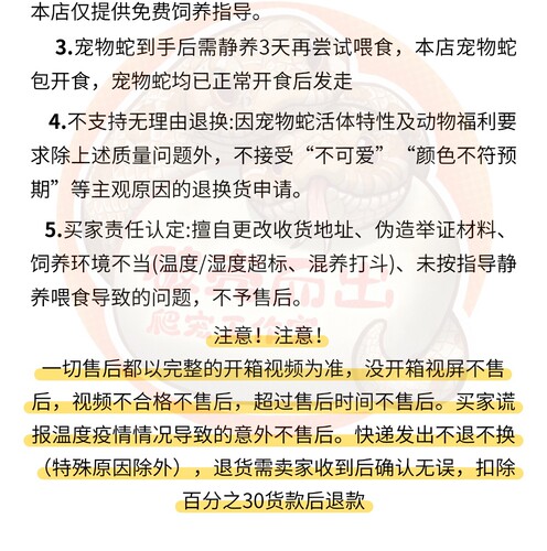 活体宠物蛇猪鼻蛇玩具蛇温顺无毒不咬人爬宠网红宠物视频挑选 - 图2