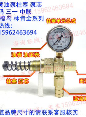 三一/仕高玛/林琳肯/SKF电动油脂泵黄油泵润滑泵柱塞副泵芯压力表