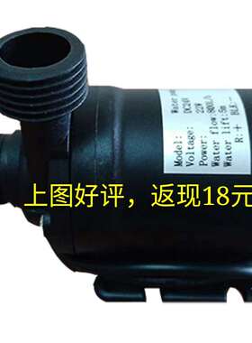 天天一泉灌装泵24V水泵灌装机泵售水直流潜水泵四分水泵