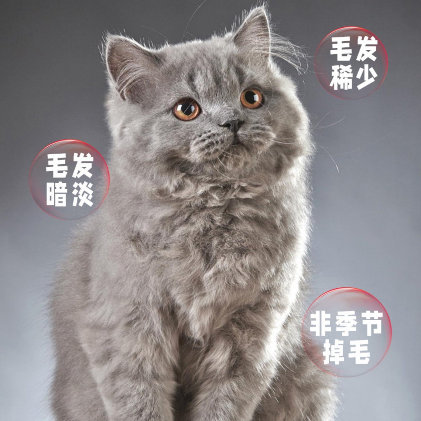 田园旺财鱼油美毛颗粒猫狗通用营养膏美毛靓毛营养补充宠物保健品,淘宝优惠券,粉丝福利购,淘宝优惠卷